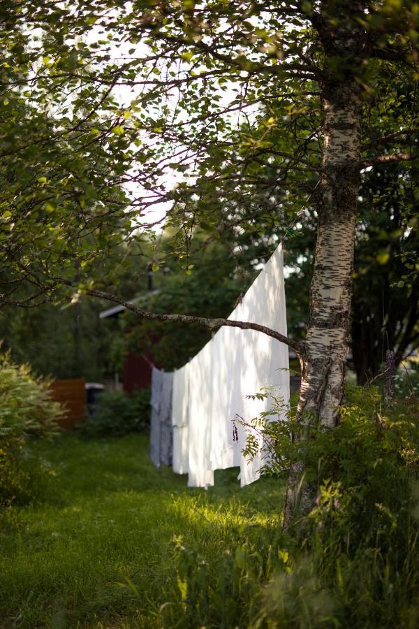 Kolin Mattila B&B Kolinkylä Extérieur photo