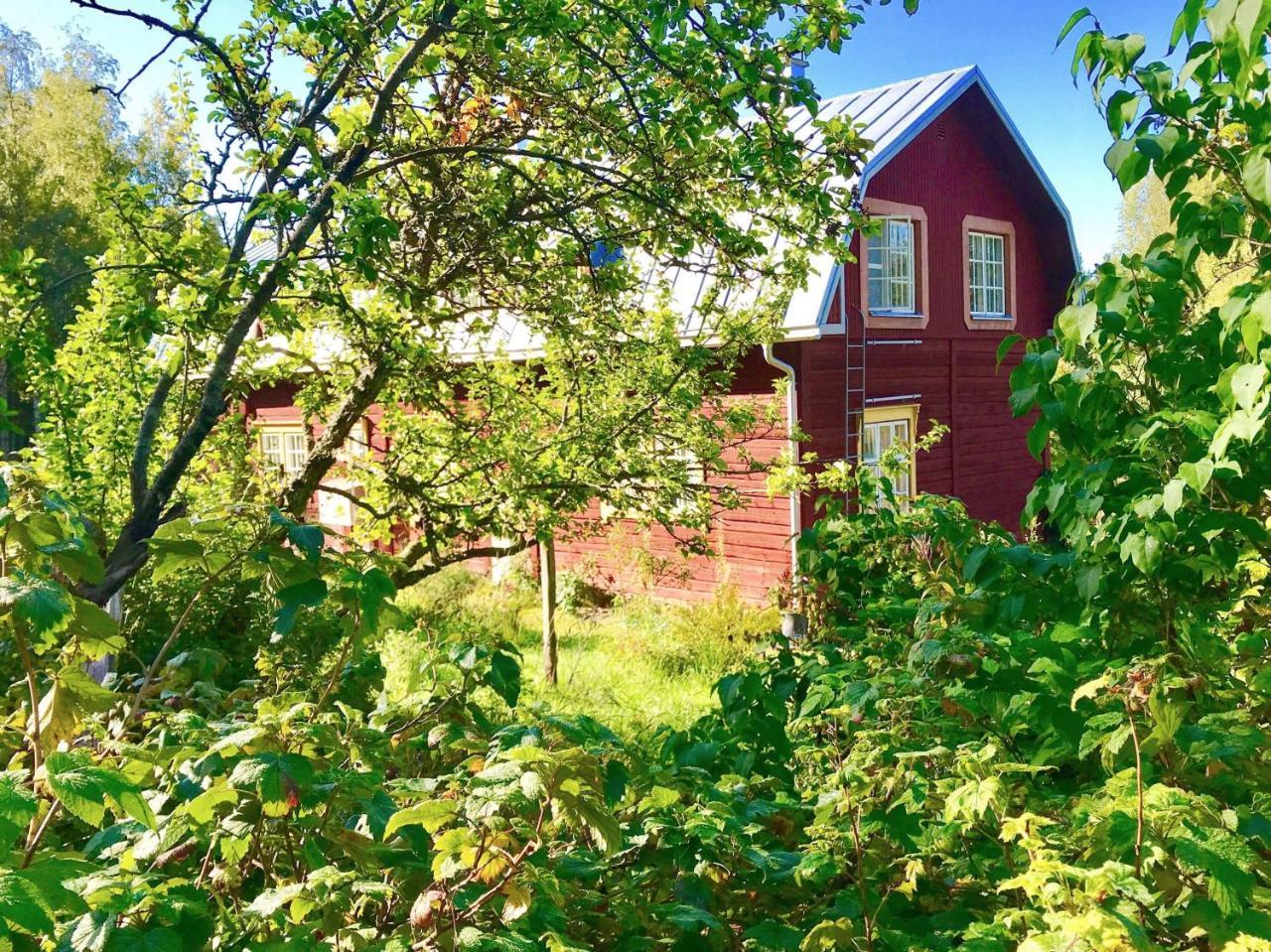Kolin Mattila B&B Kolinkylä Extérieur photo